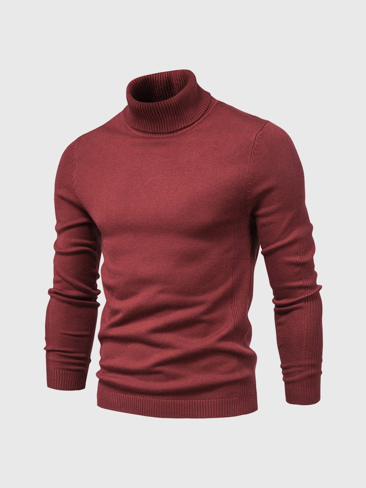 Alexander | Herren Rollkragenpullover | waschbar