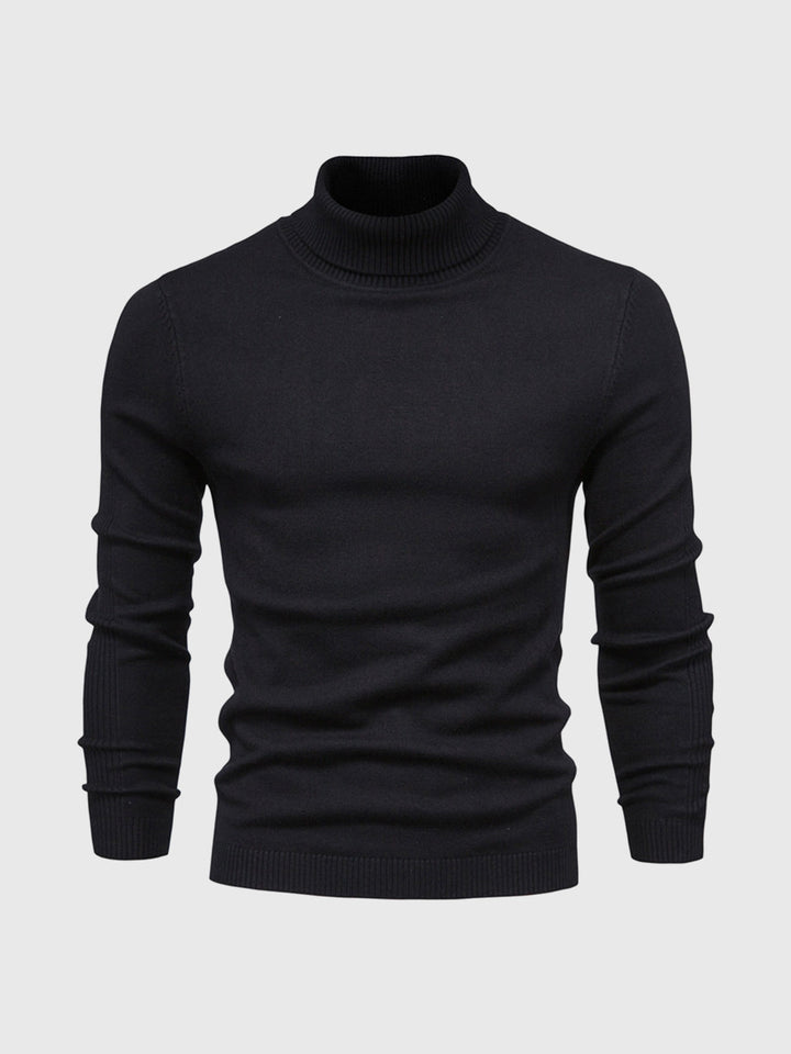 Alexander | Herren Rollkragenpullover | waschbar