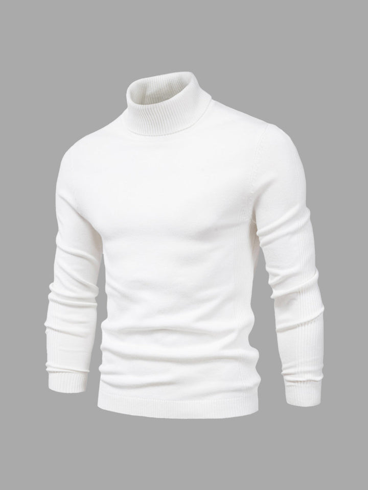 Alexander | Herren Rollkragenpullover | waschbar