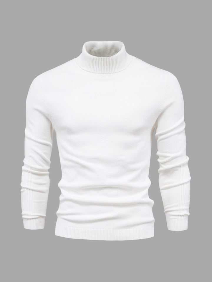 Alexander | Herren Rollkragenpullover | waschbar